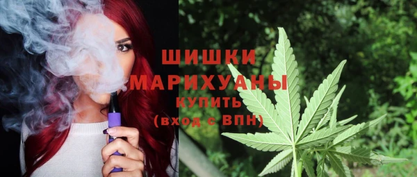 амф Алзамай