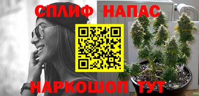 спайс Донской