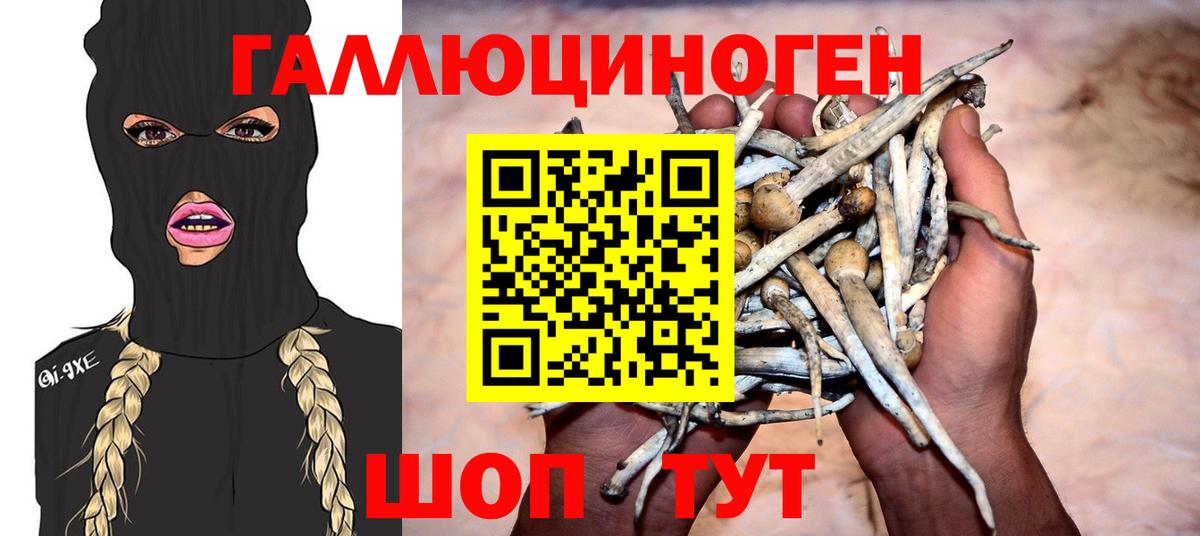 Галлюциногенные грибы GOLDEN TEACHER Йошкар-Ола