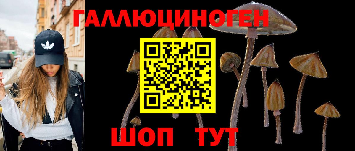 Галлюциногенные грибы Psilocybe  Вход с VPN  Йошкар-Ола 