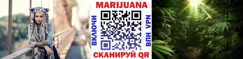Бошки Шишки конопля  сколько стоит  Йошкар-Ола 