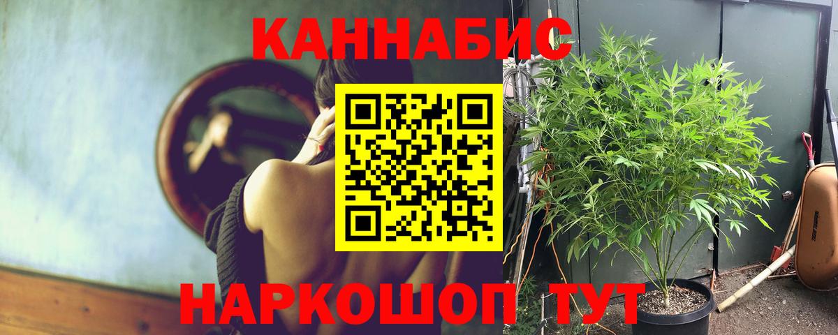 БУТИРАТ Йошкар-Ола